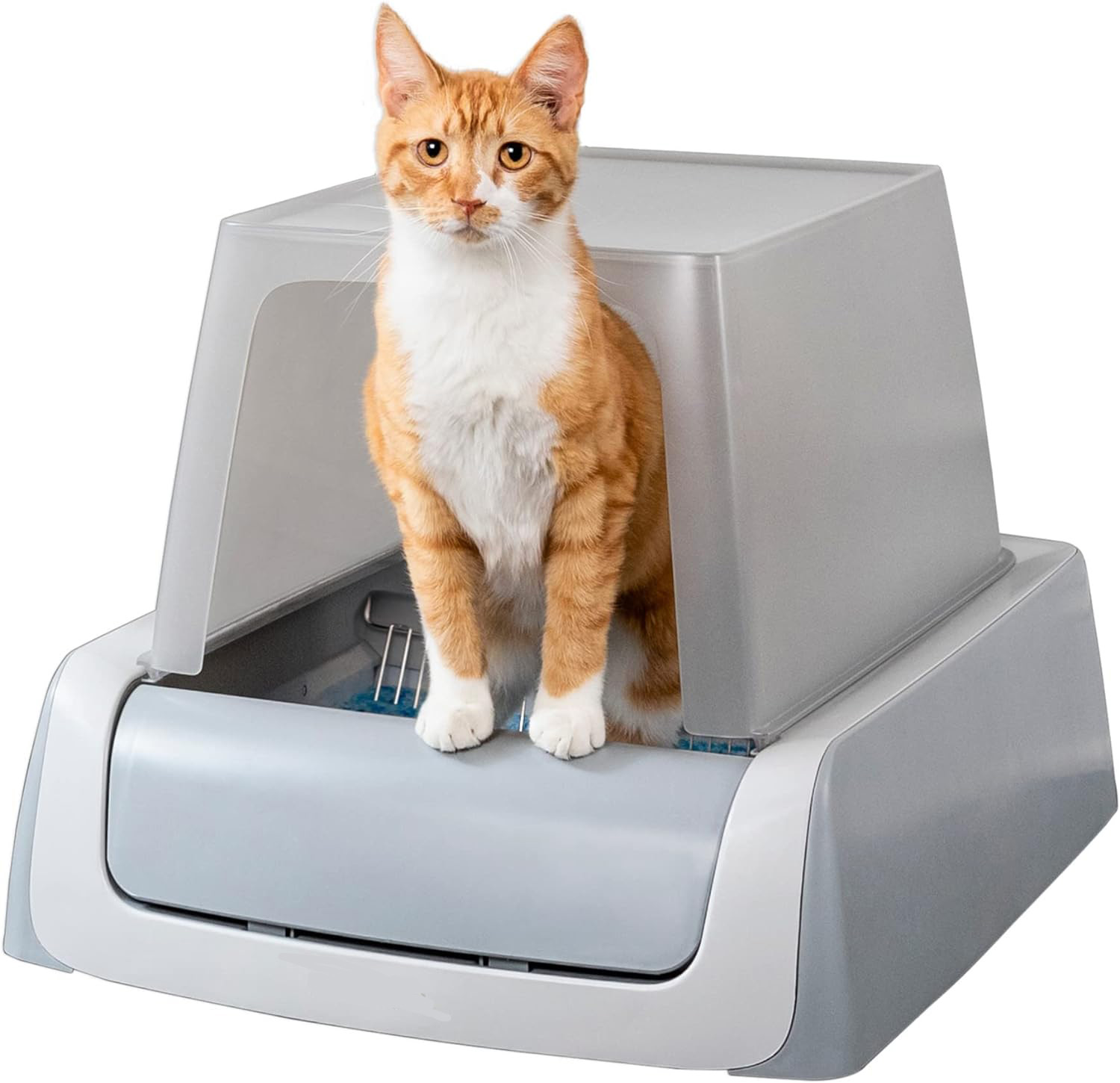 PetSafe ScoopFree Complete Plus Self-Cleaning Cat Litterbox - Hands-No Cleanup With Disposable Crystal Tray - Less Tracking, Better Odor Control - Includes Disposable Tray